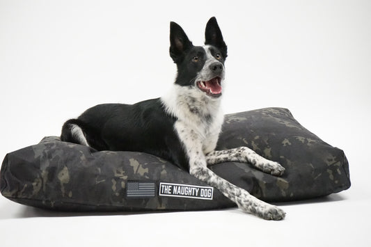 Introducing Your Dog to Their New Chew Proof Dog Bed: A Positive Reinforcement Approach