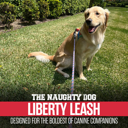 Mastering Dog Leash Training: A Comprehensive Guide for Dog Owners