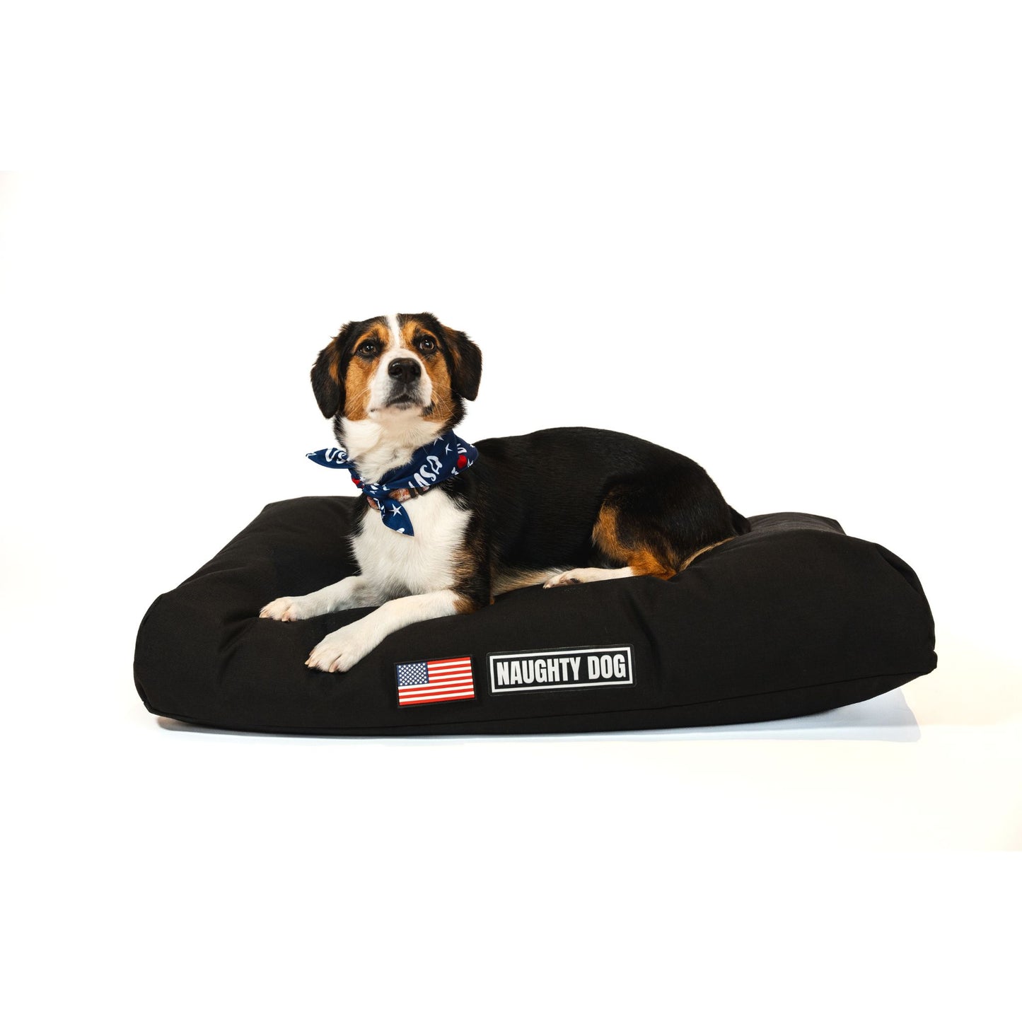 The Naughty Dog Bed