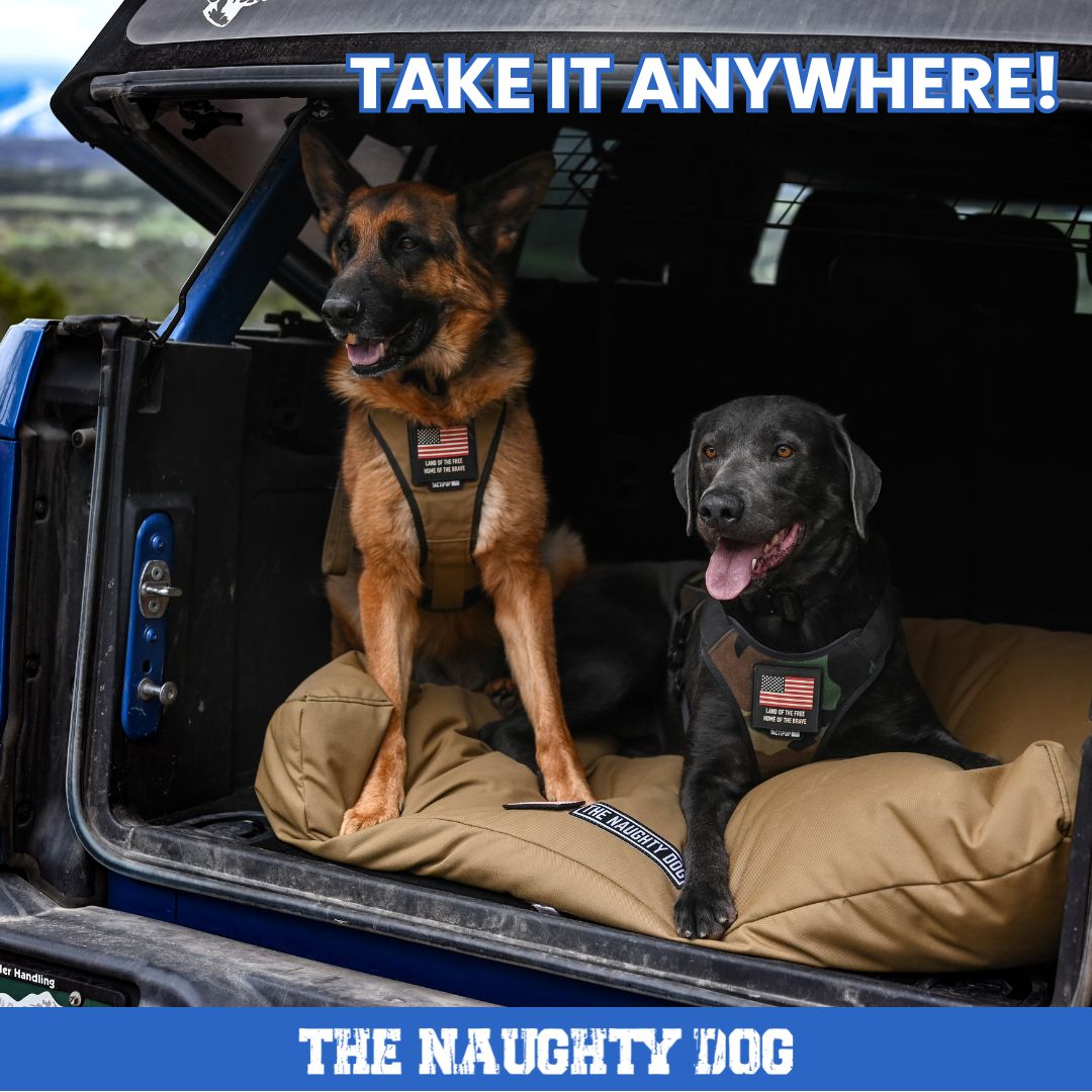 The Naughty Dog Bed